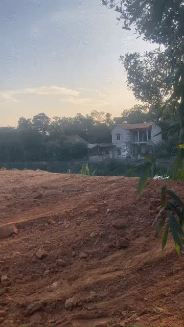 Cho thuê Đất Huyện Sông Lô Vĩnh Phúc diện tích 1200 m² giá 10 triệu/tháng