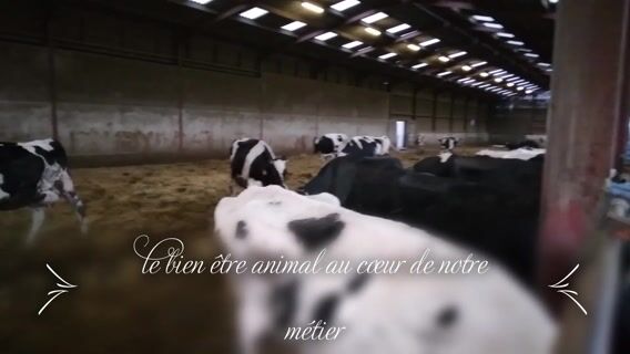 Le bien-être animal au coeur de notre métier