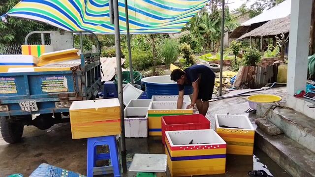 Lươn tươi sống 2-4 con/kg làm sạch. Mua bán Đồ ăn, thực phẩm và các loại khác tại Huyện Đăk Glong Đắk Nông được đăng bởi quang lâm hình 1