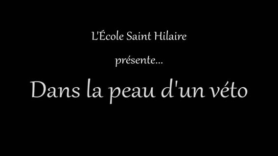 Dans la peau d'un véto