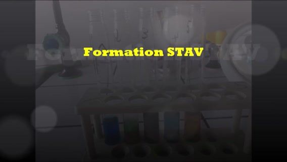 Formation STAV