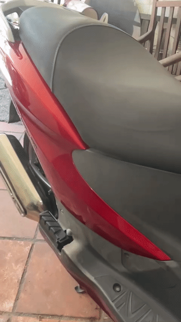 Honda Dylan màu Đỏ ,Zin toàn bộ. Mua bán Xe máy tại Quận Bình Thạnh Tp Hồ Chí Minh được đăng bởi TINA hình 1