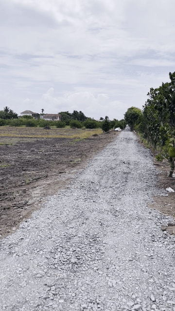 Mua bán Đất Huyện Thủ Thừa Long An diện tích 500 m² giá 340 triệu