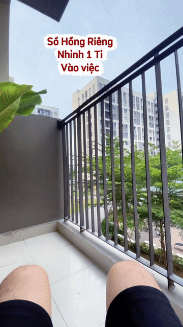 Mua bán Căn hộ Chung cư Huyện Bến Lức Long An diện tích 64 m² giá 1,7 tỷ