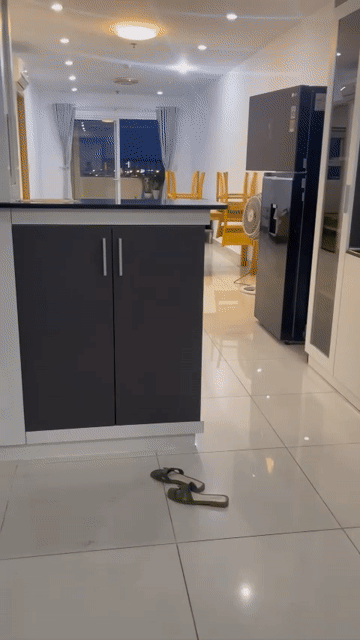 Cho thuê Căn hộ Chung cư Căn hộ Cityland Parkhill Gò Vấp Quận Gò Vấp Tp Hồ Chí Minh diện tích 77 m² giá 13 triệu/tháng