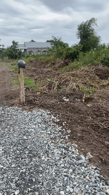 Cho thuê Đất Huyện Thủ Thừa Long An diện tích 1000 m² giá 500000 đ/tháng