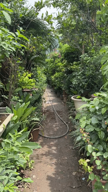 Mua bán Đất Quận Hà Đông Hà Nội diện tích 140 m² giá 2,9 tỷ