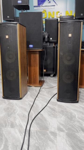 cặp loa bass 20 đôi cực gọn đẹp, zin. Mua bán Tivi, Âm thanh tại Thành phố Biên Hòa Đồng Nai được đăng bởi Vẫn đợi em  hình 1