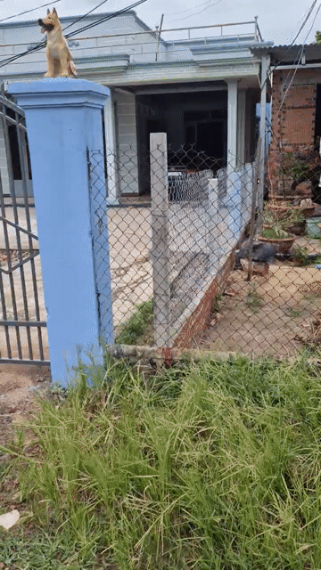 Mua bán Đất Huyện Tân Châu Tây Ninh diện tích 433.1 m² giá 939 triệu
