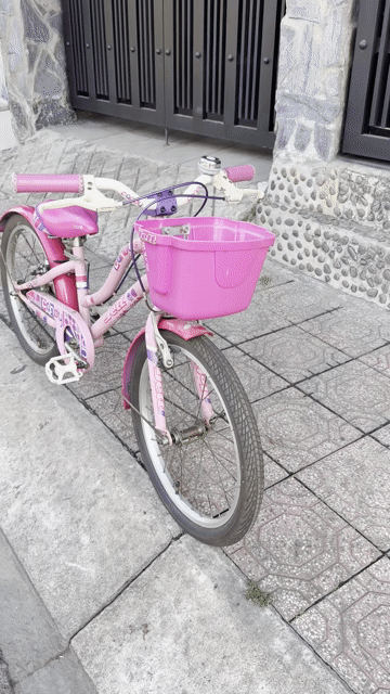 Xe đạp Jett 20inchs Be Gai 6-9t. Mua bán Xe đạp tại Thành phố Thủ Đức Tp Hồ Chí Minh được đăng bởi Mr Phi Nguyen  hình 1