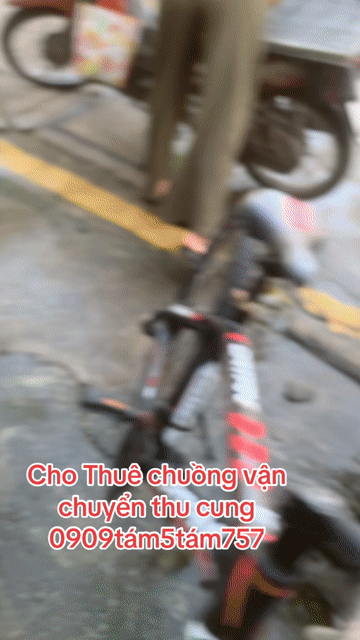 chuồng chó🩵mèo❤️inox 💙sắt❤️mới, củ🍀dày, vip🍎tốt rẻ. Mua bán Phụ kiện, Thức ăn, Dịch vụ tại Quận 8 Tp Hồ Chí Minh được đăng bởi Cửa Hàng Thanh Lý Đồ Cũ Mới hình 1