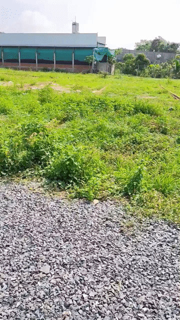 Mua bán Đất Huyện Trảng Bàng Tây Ninh diện tích 285 m² giá 850 triệu