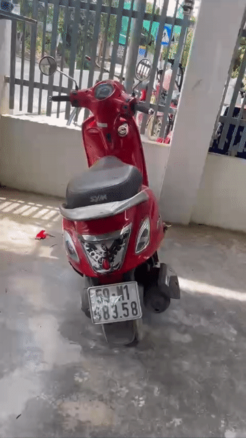 SYM Attila Venus màu Đỏ. Mua bán Xe máy tại Thành phố Thủ Đức Tp Hồ Chí Minh được đăng bởi Hồ Hạnh hình 1