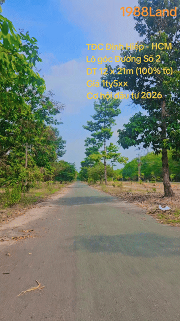 Mua bán Đất Huyện Dầu Tiếng Bình Dương diện tích 239.5 m² giá 1,55 tỷ