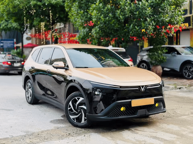LIMO GREEN VAY DỄ, BAO HS KHÓ, BANK 90%. Mua bán Ô tô tại Quận Tân Bình Tp Hồ Chí Minh được đăng bởi Kỳ Nguyễn VinFast hình 1