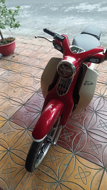 Honda Super Cub 2019 Đỏ trắng. Mua bán Xe máy tại Quận Cái Răng Cần Thơ được đăng bởi Huỳnh hình 1