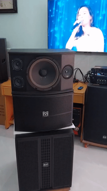 Loa treo Martin F9(bản cải tiến 1 bass 2 tép 1mid). Mua bán Tivi, Âm thanh tại Huyện Hóc Môn Tp Hồ Chí Minh được đăng bởi Âm thanh Hóc Môn hình 1
