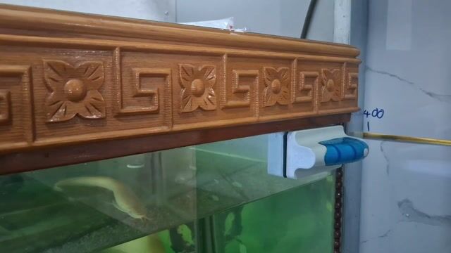 ​[THANH LÝ] Bể cá khủng 1m8 kính cường lực 10 li. Mua bán Phụ kiện, Thức ăn, Dịch vụ tại Quận Bình Tân Tp Hồ Chí Minh được đăng bởi Kim Oanh hình 1