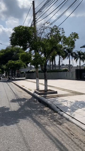 Mua bán Căn hộ Chung cư Thành phố Biên Hòa Đồng Nai diện tích 51.5 m² giá 1,95 tỷ