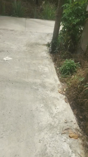 Mua bán Đất Thành phố Mỹ Tho Tiền Giang diện tích 66 m² giá 500 triệu