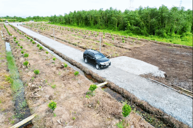 Mua bán Đất Huyện Bến Lức Long An diện tích 500 m² giá 320 triệu