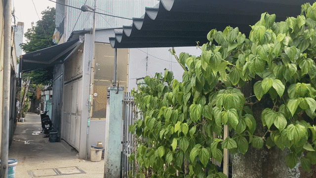 Mua bán Nhà ở Quận Sơn Trà Đà Nẵng diện tích 109.0999 m² giá 4,5 tỷ
