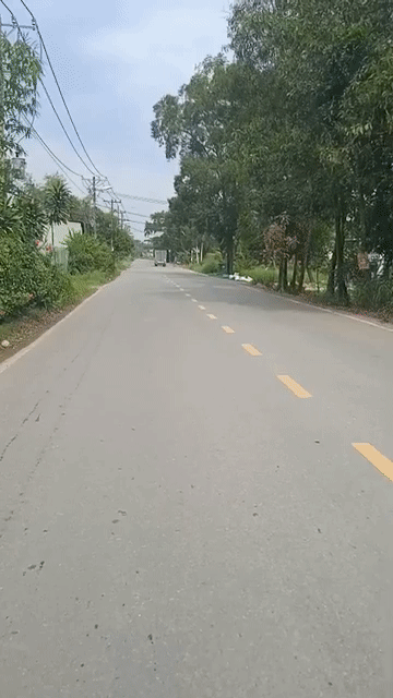 Cho thuê Đất Huyện Bình Chánh Tp Hồ Chí Minh diện tích 1200 m² giá 25 triệu/tháng