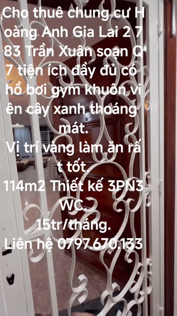 Cho thuê Căn hộ Chung cư Hoàng Anh Gia Lai 2 Quận 7 Tp Hồ Chí Minh diện tích 114 m² giá 14,5 triệu/tháng