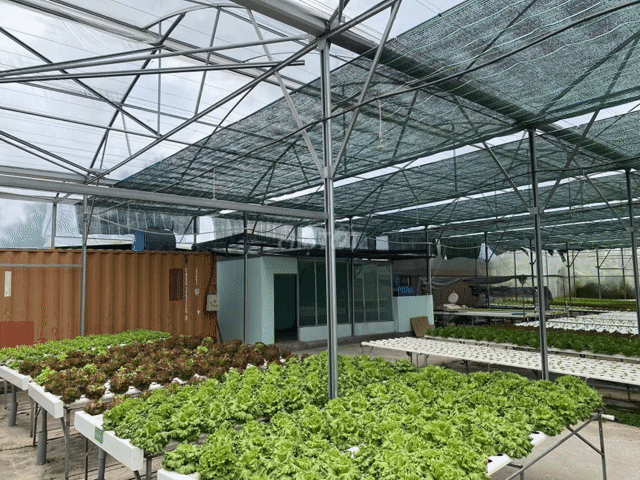 Mua bán Đất Huyện Bình Chánh Tp Hồ Chí Minh diện tích 1140 m² giá 4,5 tỷ