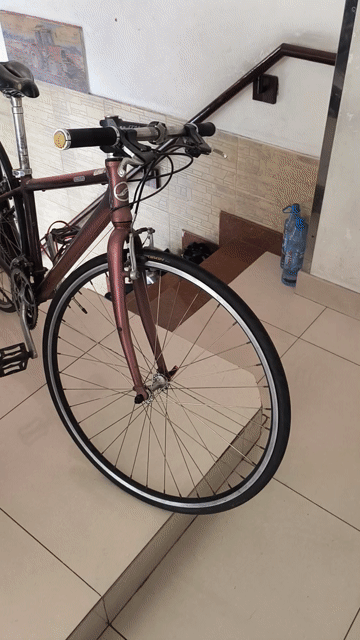 Xe đạp nhật màu Đỏ tím. Mua bán Xe đạp tại Quận 10 Tp Hồ Chí Minh được đăng bởi Huy Minh hình 1