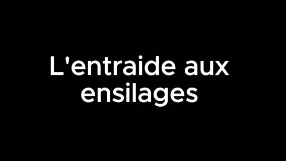 L'entraide pendant l'ensilage de maïs