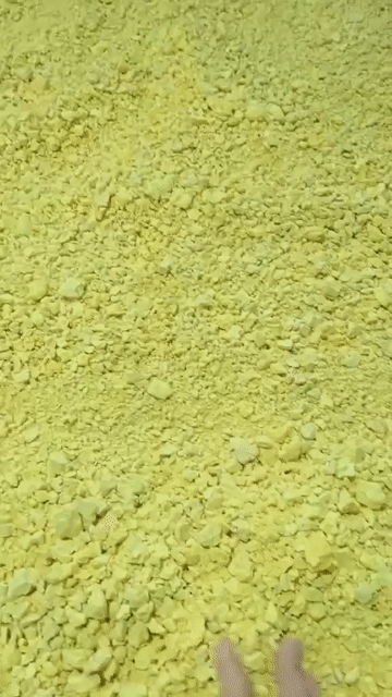 Tinh bột nghệ 500g. Mua bán Đồ ăn, thực phẩm và các loại khác tại Quận 12 Tp Hồ Chí Minh được đăng bởi Ngô Hằng hình 1