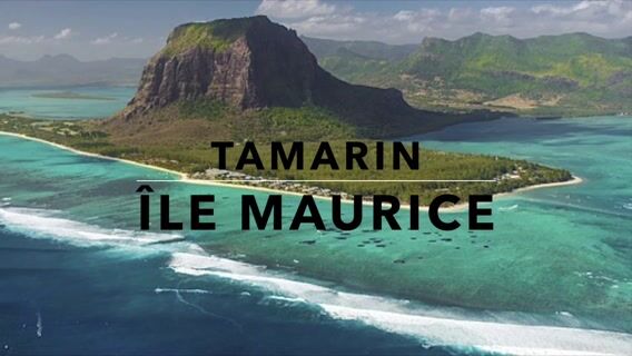 A la découverte des saunières