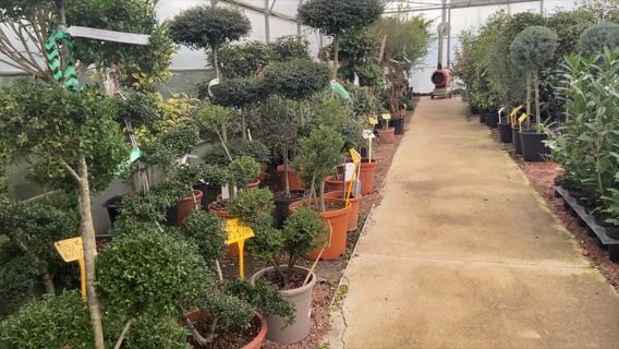 Agent d'entretien des espaces verts