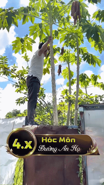 Mua bán Đất Huyện Bình Chánh Tp Hồ Chí Minh diện tích 497 m² giá 4,38 tỷ