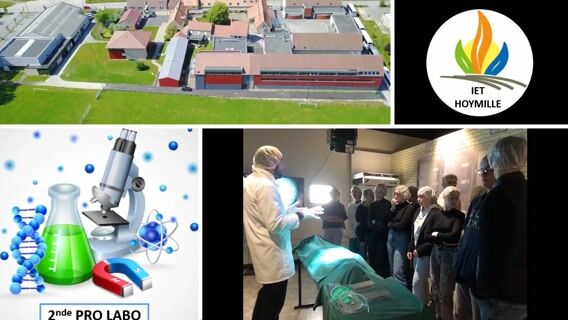 A la rencontre de nos amis les animaux