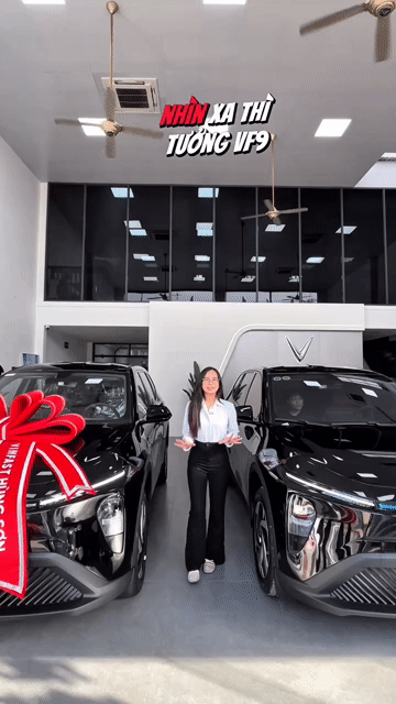 Sẵn VinFast Limo Green Đủ Màu. Mua bán Ô tô tại Thành phố Thủ Đức Tp Hồ Chí Minh được đăng bởi Thu Huyền Vinfast HCM hình 1