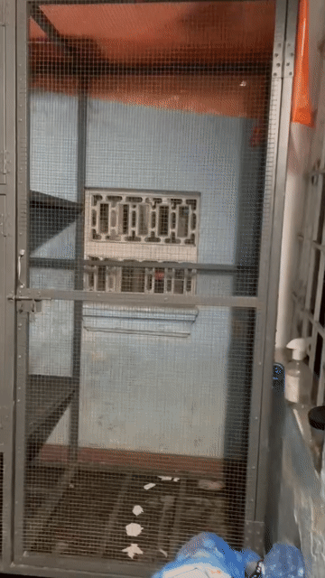 Chuồng nuôi kim loại 1m9x80x2m. Mua bán Phụ kiện, Thức ăn, Dịch vụ tại Thành phố Huế Thừa Thiên Huế được đăng bởi Hương Thùy hình 1
