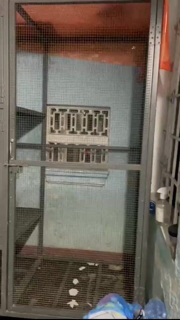 Chuồng nuôi kim loại 1m9x80x2m. Mua bán Phụ kiện, Thức ăn, Dịch vụ tại Thành phố Huế Thừa Thiên Huế được đăng bởi Hương Thùy hình 1