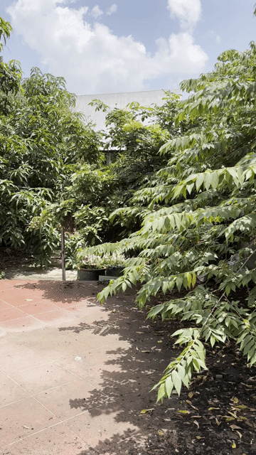 Cho thuê Nhà ở Huyện Nhà Bè Tp Hồ Chí Minh diện tích 270 m² giá 10 triệu/tháng
