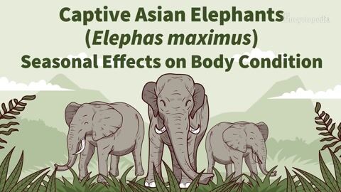 Encyclopedia-Seasonal Influence on Health and Reproduction in Elephants