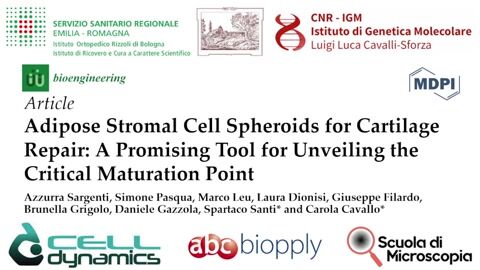Adipose Stromal Cell Spheroids for Cartilage Repair