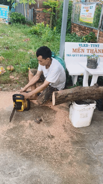 Máy cưa xích Ryobi G40 Nhật Bản Vàng. Mua bán Đồ chuyên dụng, Giống nuôi trồng tại Huyện Châu Thành Sóc Trăng được đăng bởi NHAKINHDOANH hình 1