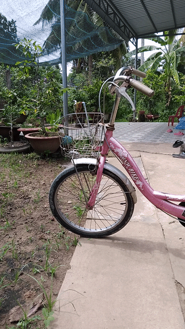 Xe đạp nữ màu Hồng 20 inch. Mua bán Xe đạp tại Thành phố Bến Tre Bến Tre được đăng bởi Gà  bướm chân xanh hình 1