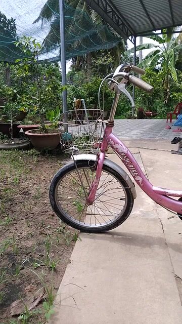Xe đạp nữ màu Hồng 20 inch. Mua bán Xe đạp tại Thành phố Bến Tre Bến Tre được đăng bởi Gà  bướm chân xanh hình 1