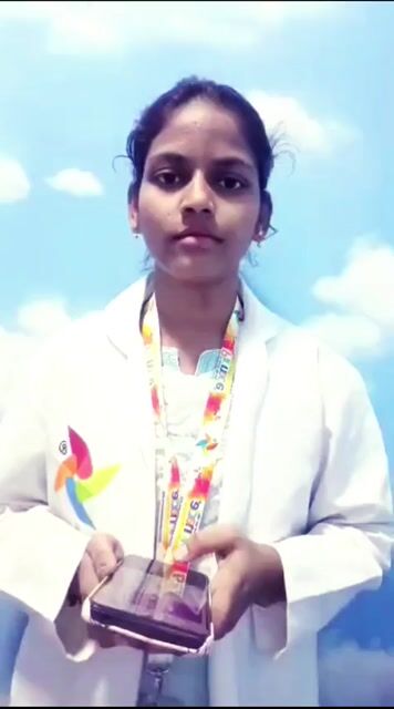 Pinnacle-Blooms-Network-e1a26be25e0f2e97f0254d620e8f8082