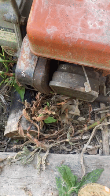 Máy bơm nước Cam Kim loại. Mua bán Đồ chuyên dụng, Giống nuôi trồng tại Thành phố Cà Mau Cà Mau được đăng bởi thanh mừng hình 1