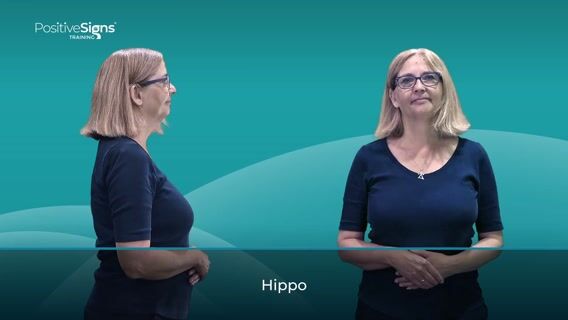 Hippo