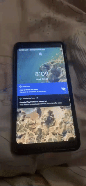 Google Pixel 2 XL Đen Đã sử dụng. Mua bán Điện thoại tại Quận Bắc Từ Liêm Hà Nội được đăng bởi Tên chưa cung cấp hình 1