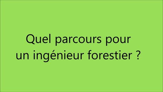 ingénieur forestier, un acteur du territoire